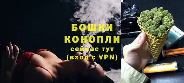 спиды Богородск